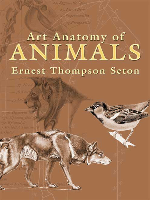 Title details for Art Anatomy of Animals by Ernest Thompson Seton - Available